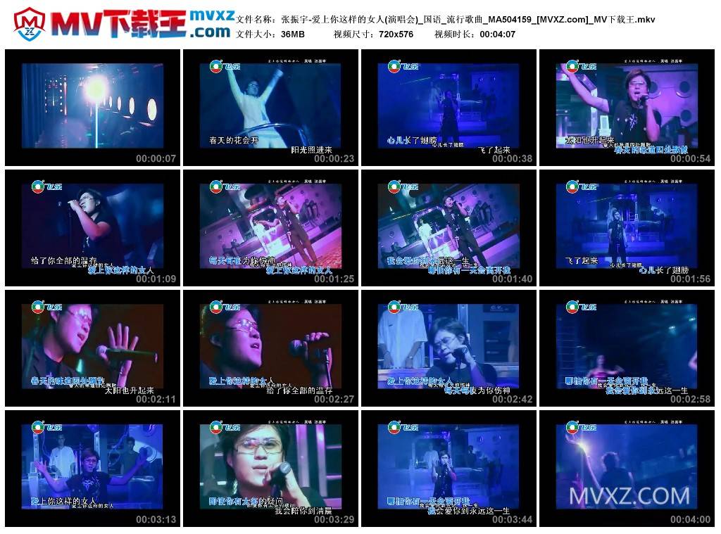 张振宇-爱上你这样的女人(演唱会)_国语_流行歌曲_MA504159